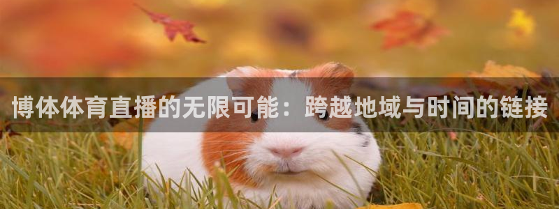 833直播足球比赛在线观看：博体体育直播的无限可能：跨越地域与时间的链接