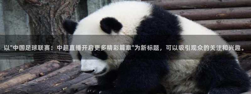 833直播足球免费观看：以\