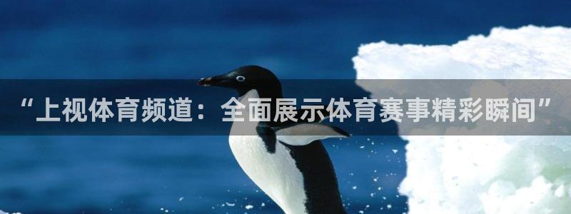 833足球直播免费观看直播：“上视体育频道：全面展示体育赛事精彩瞬间”