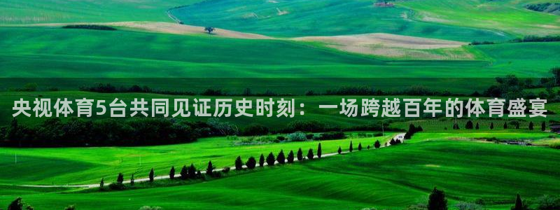 833体育在线直播：央视体育5台共同见证历史时刻：一场跨越百年的体育盛宴