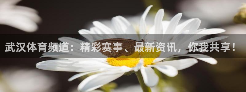 833体育直播观看：武汉体育频道：精彩赛事、最新资讯，你我共享！
