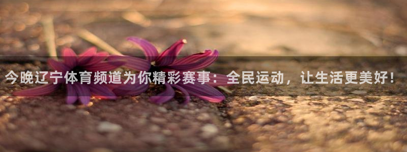 833直播免费体育直播：今晚辽宁体育频道为你精彩赛事：全民运动，让生活更美好！