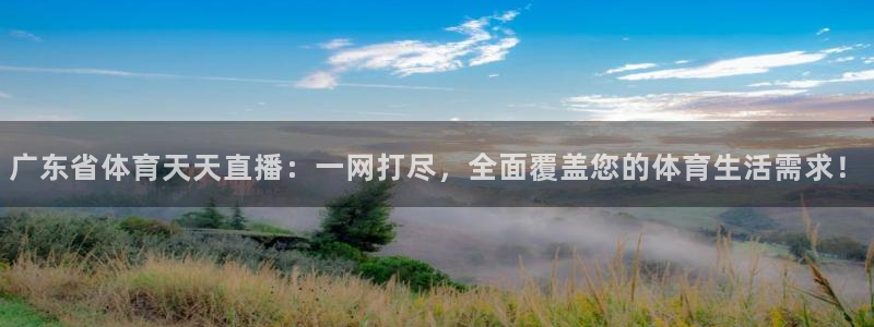 3833tv直播nba免看：广东省体育天天直播：一网打尽，全面覆盖您的体育生活需求！