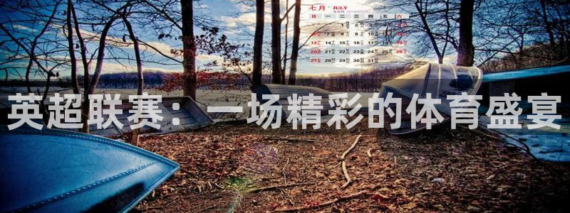 833体育在线直播：英超联赛：一场精彩的体育盛宴